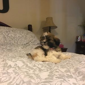 Meet your Posher, Anna